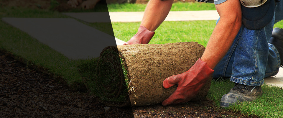 Lake Butler Landscapers